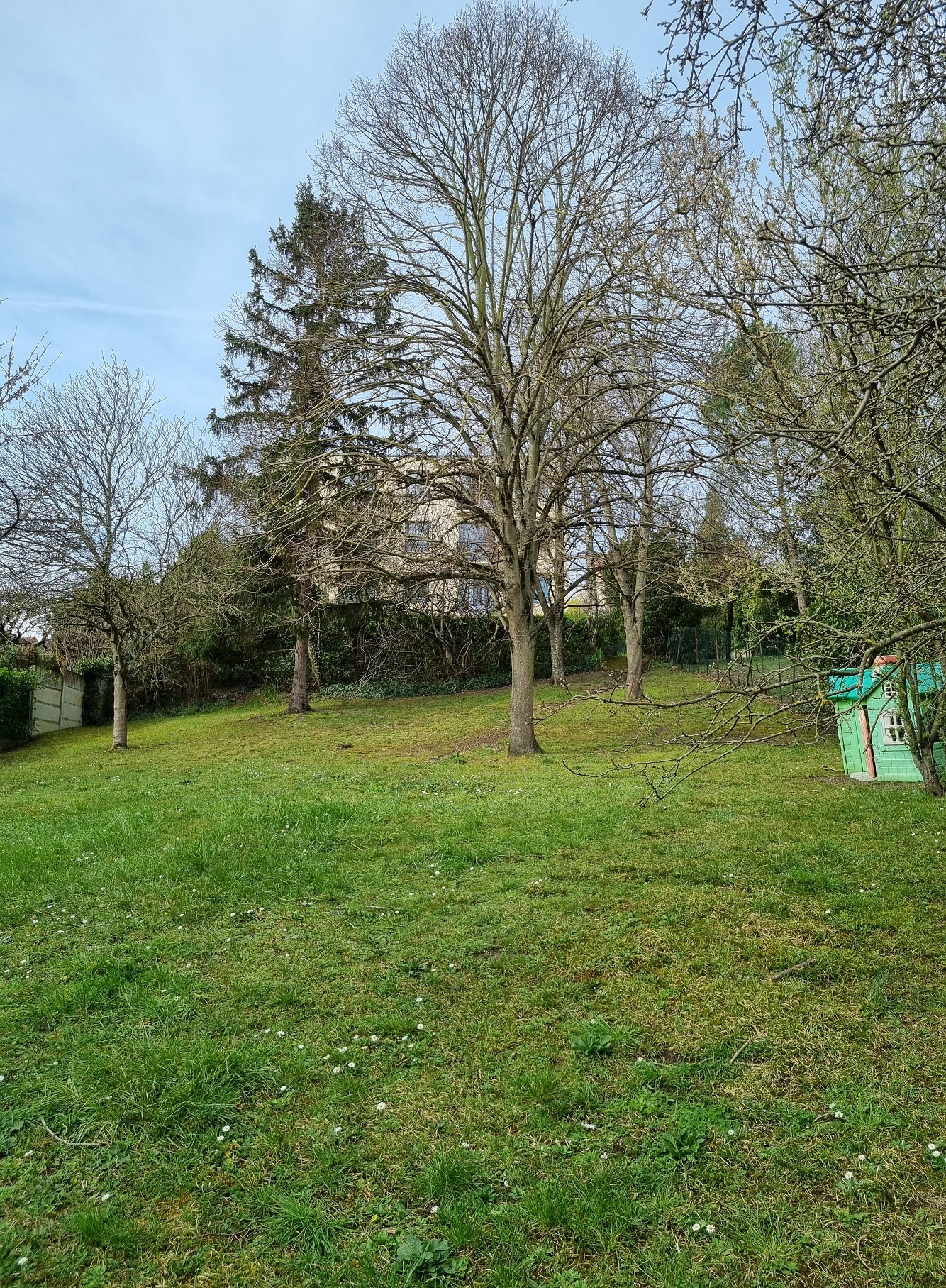 jardin